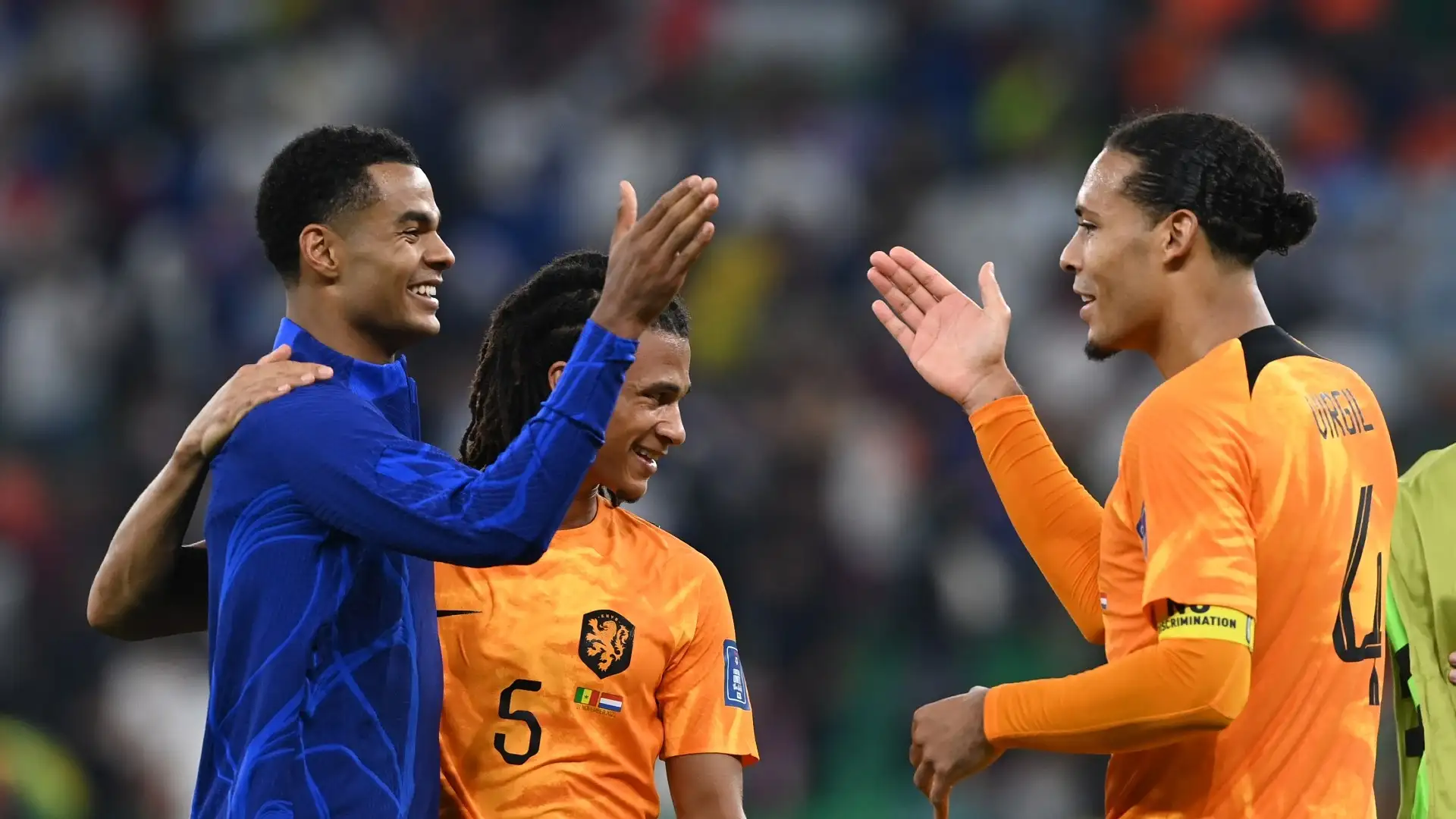 Van Dijk Urges Liverpool to Retain Star Cody Gakpo