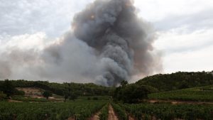 France’s Iconic Vineyards Face Existential Fire Threat