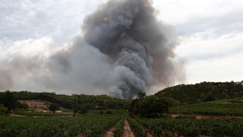 France’s Iconic Vineyards Face Existential Fire Threat