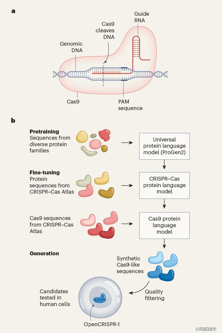 Anthropic AI Unveils Novel Gene-Editing Tool